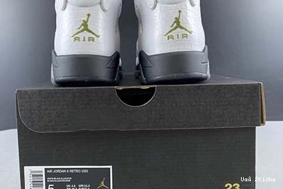 “Alligator” 6 Jordan GS Modern 634 384665- 7057 Air 0831